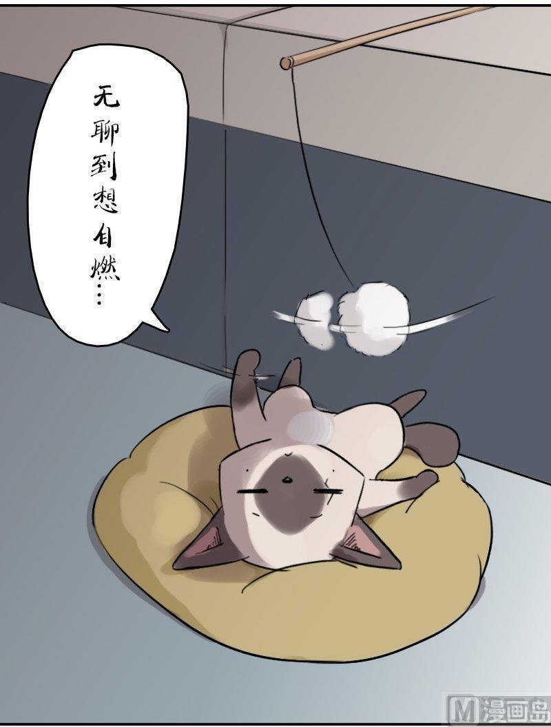 第14话 和土豪做朋友