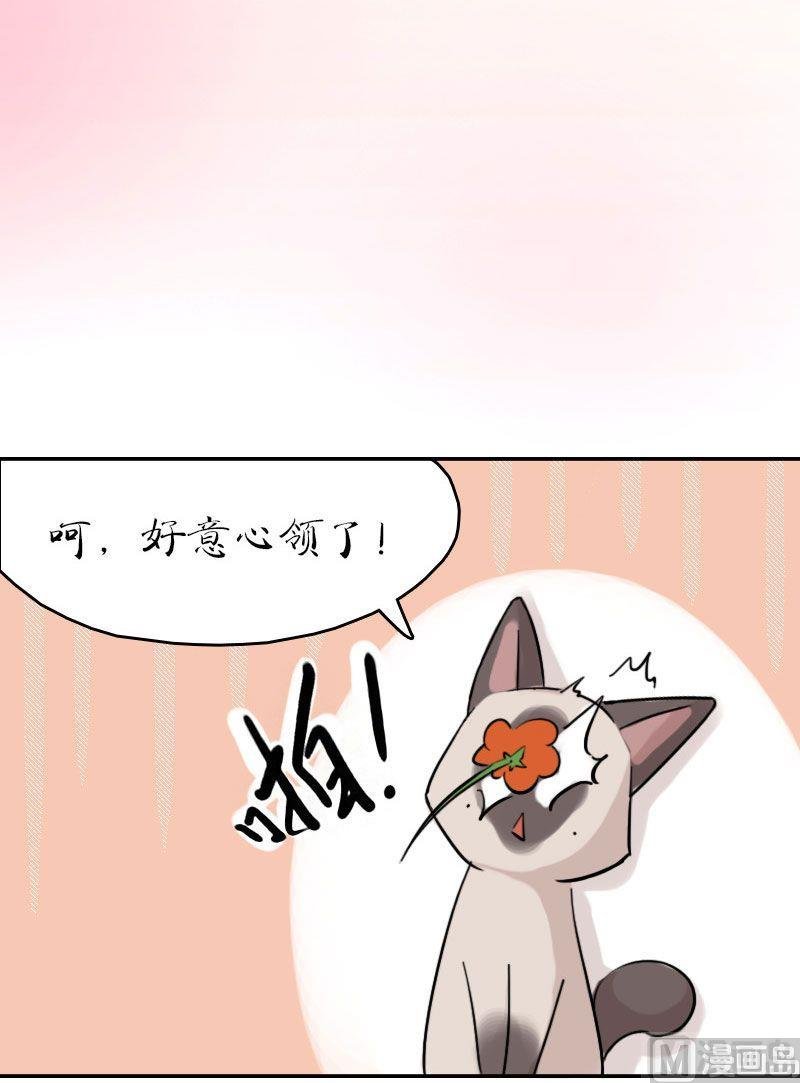 第14话 和土豪做朋友