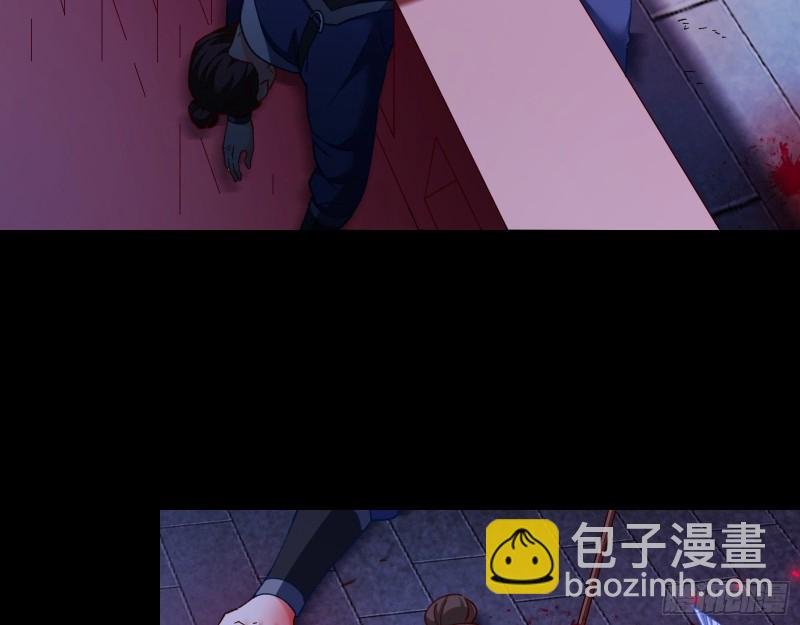 苏护卫在此