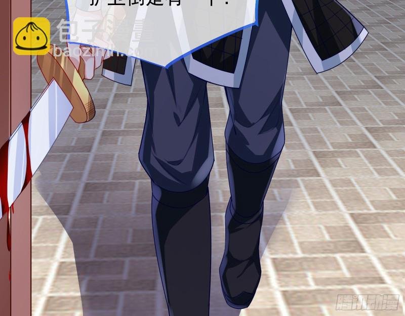 苏护卫在此