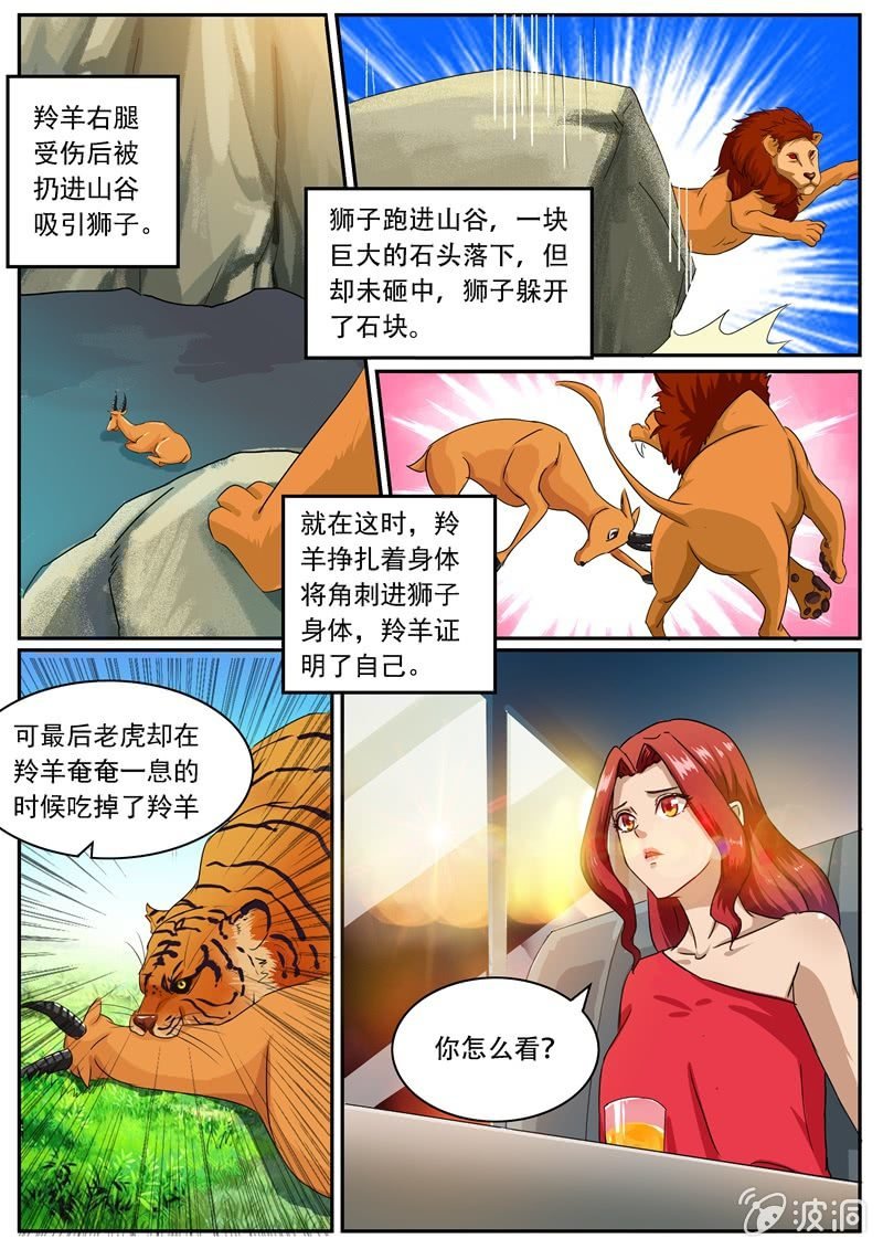 弱肉强食的游戏