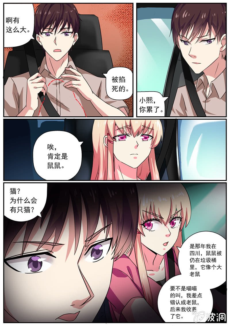天眼行动