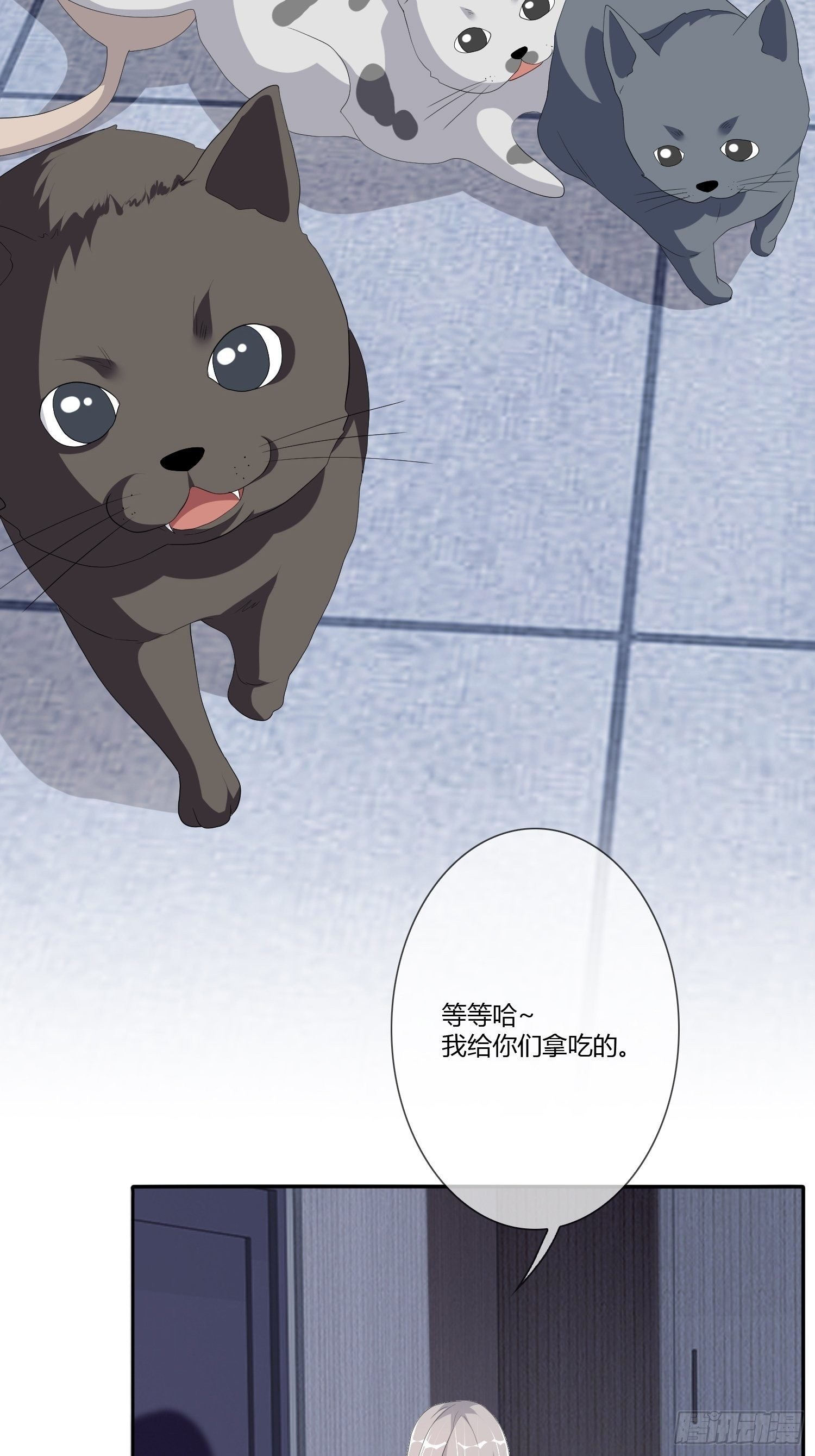 宠物翻译