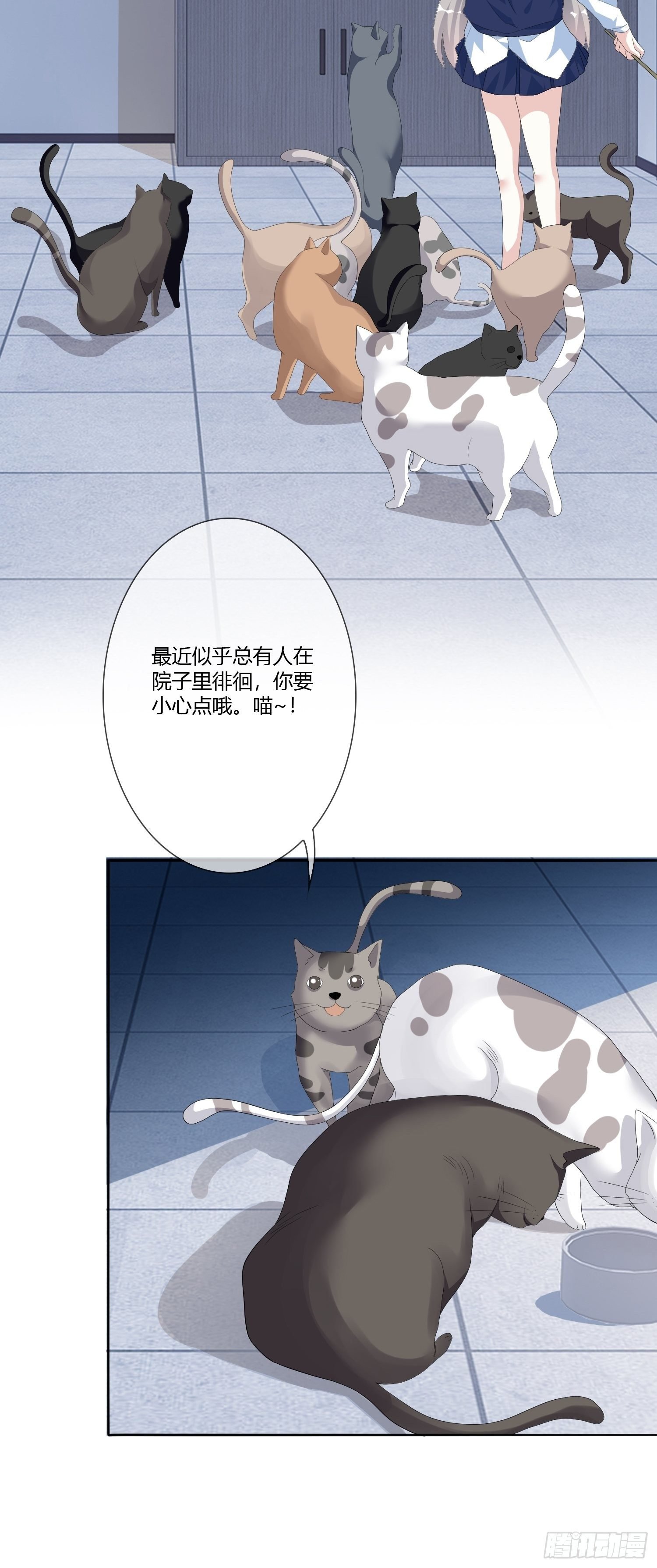 宠物翻译