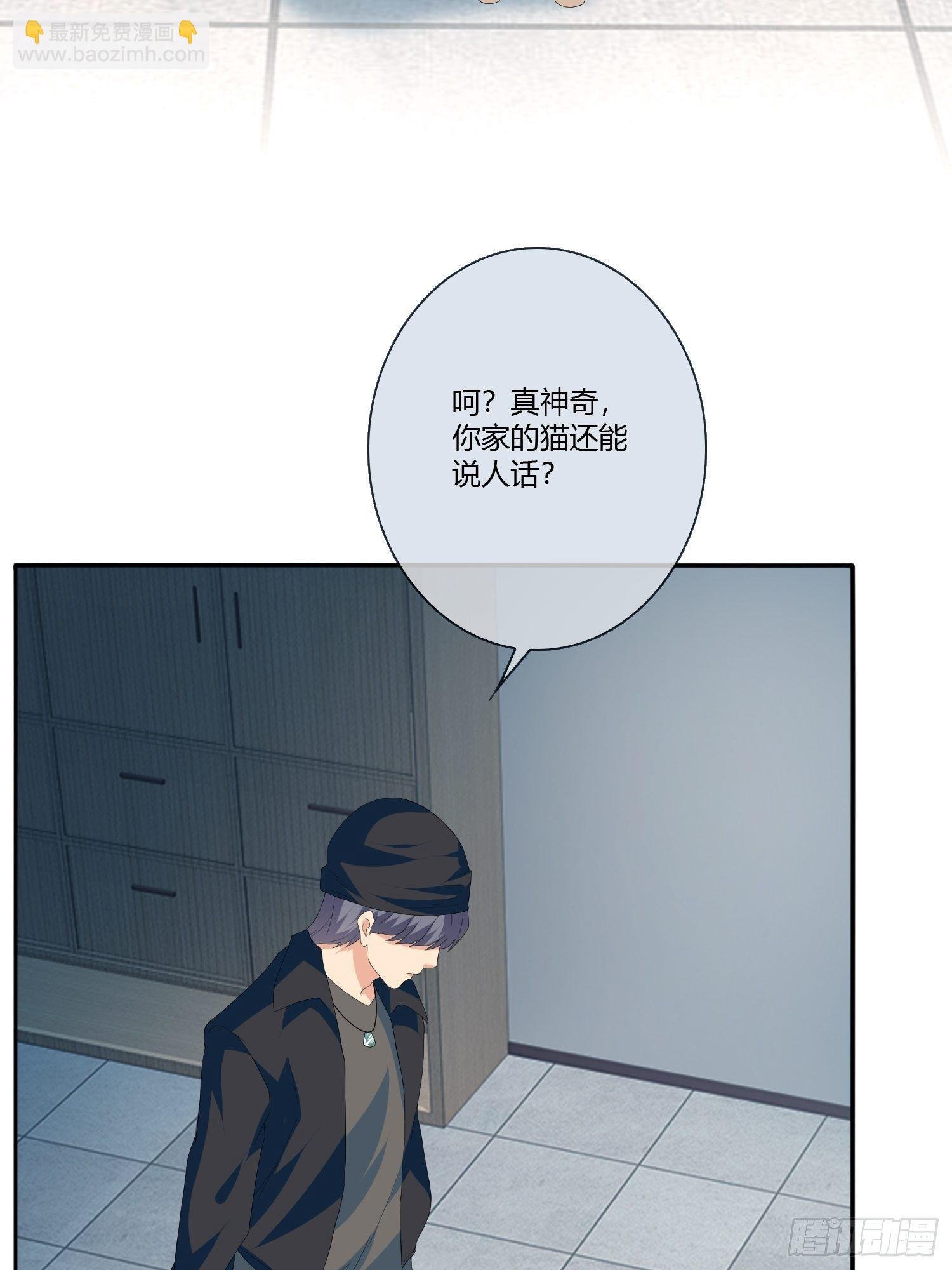 宠物翻译