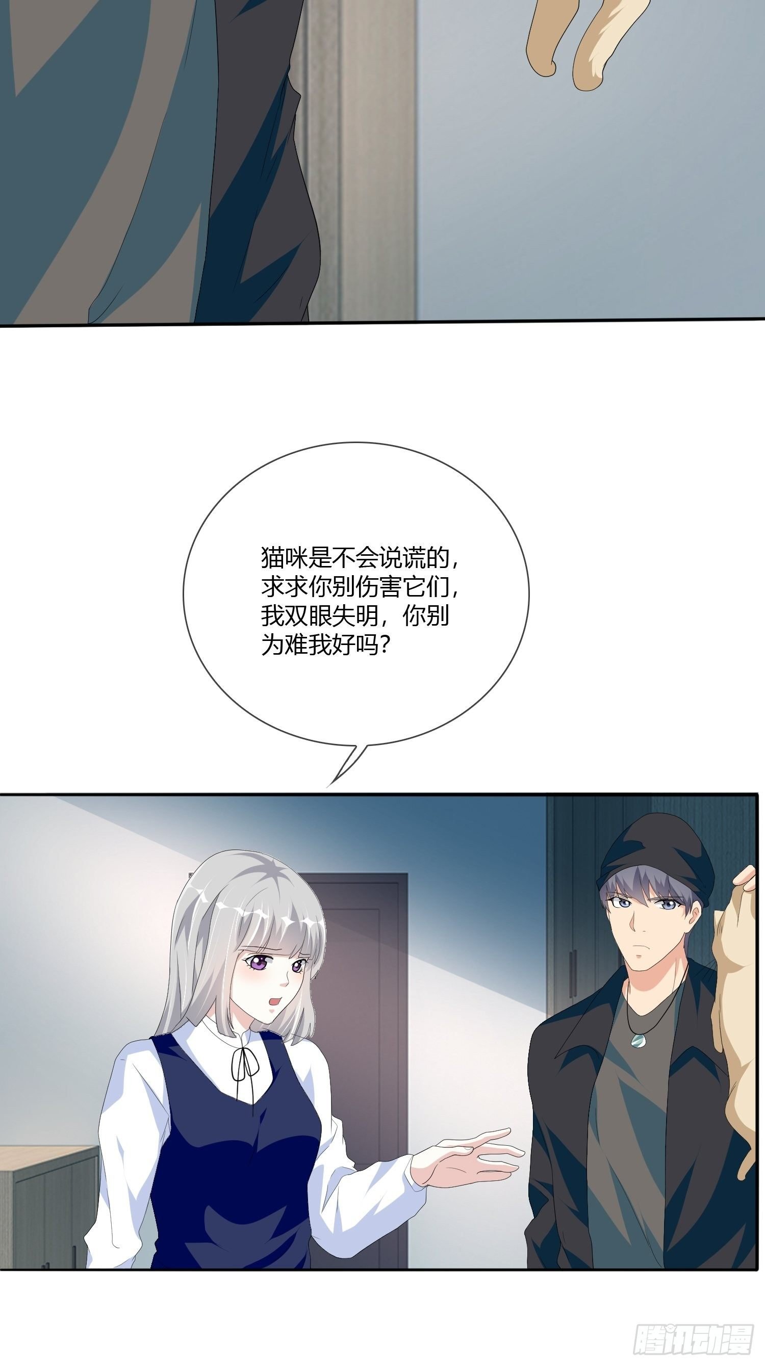 宠物翻译