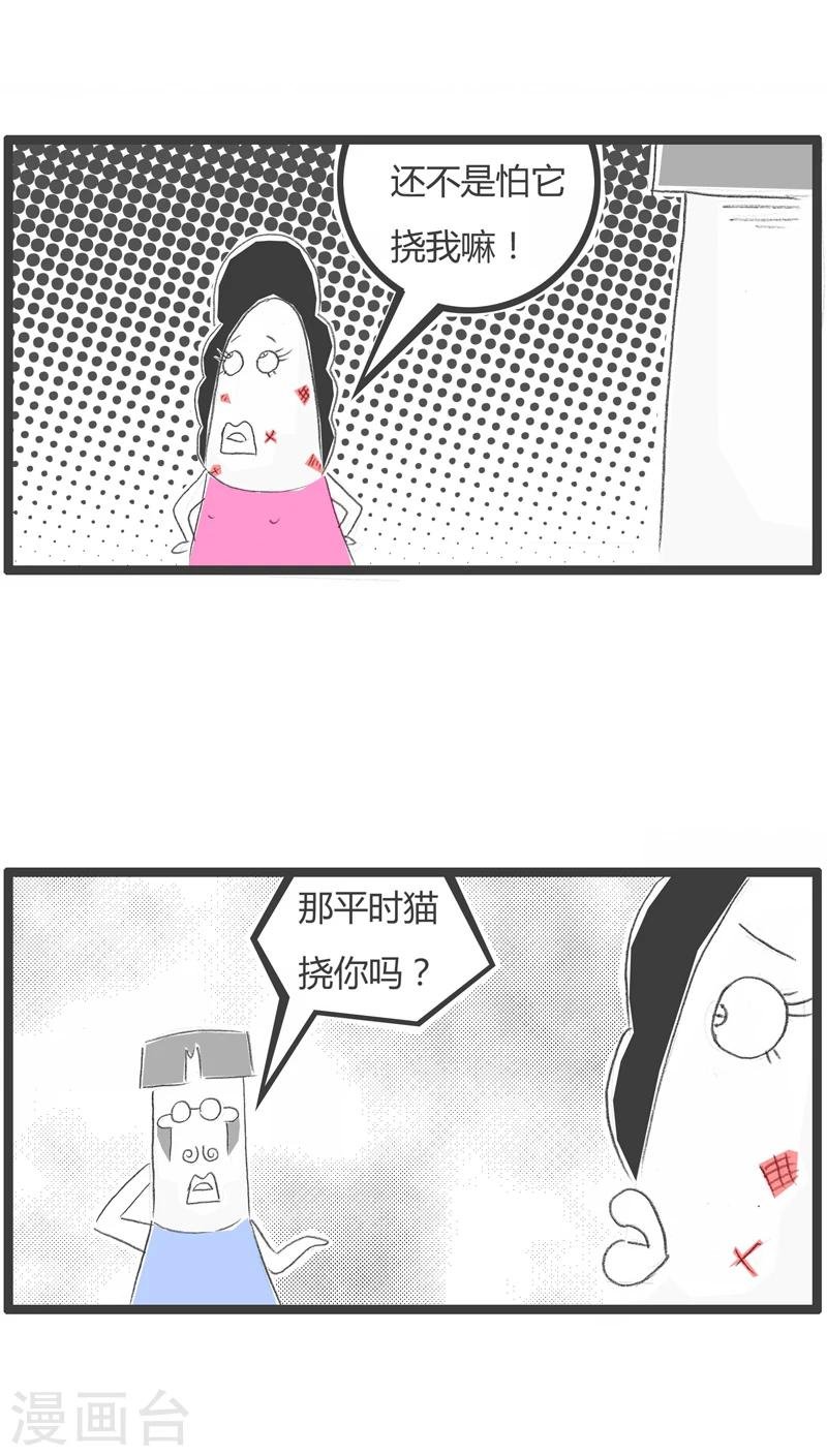 第238话 多此一举