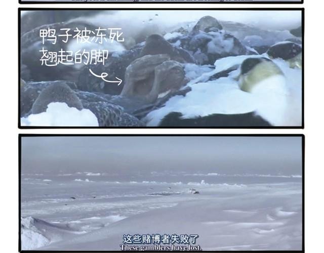 第5话 你是去借酒浇愁吗？