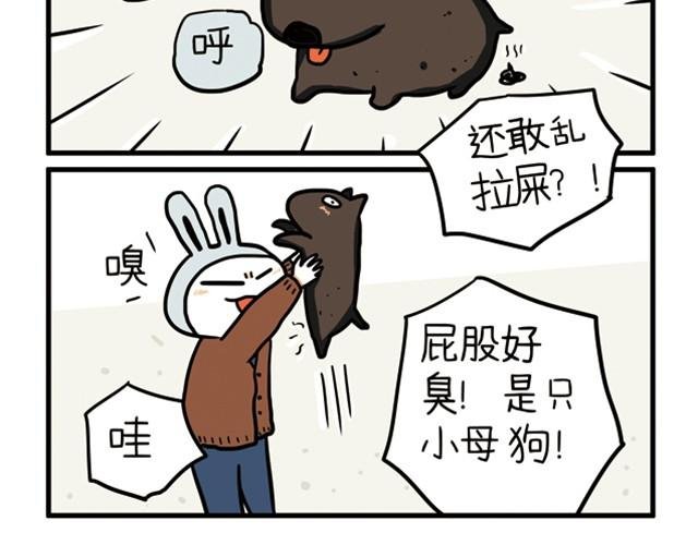 第5话 你是去借酒浇愁吗？
