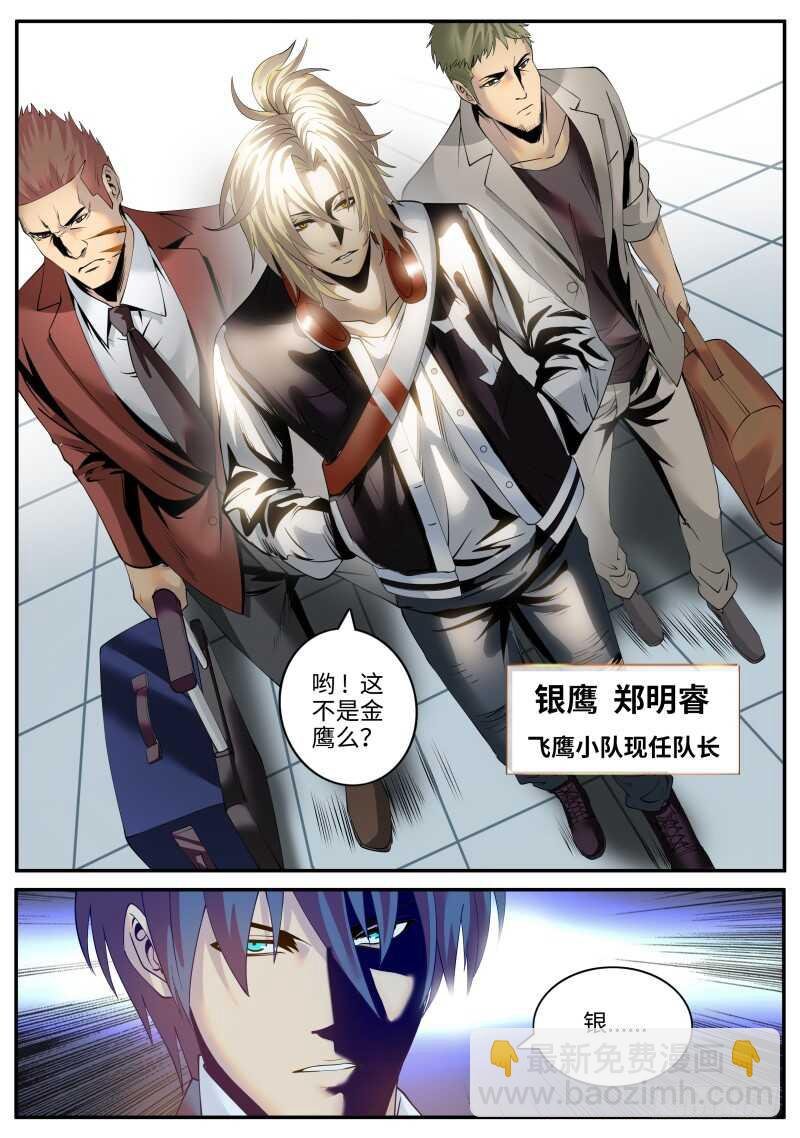 银鹰