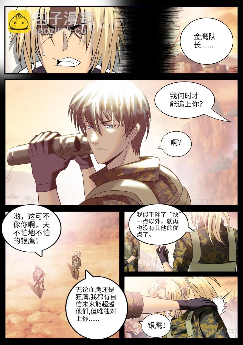 硬气的银鹰