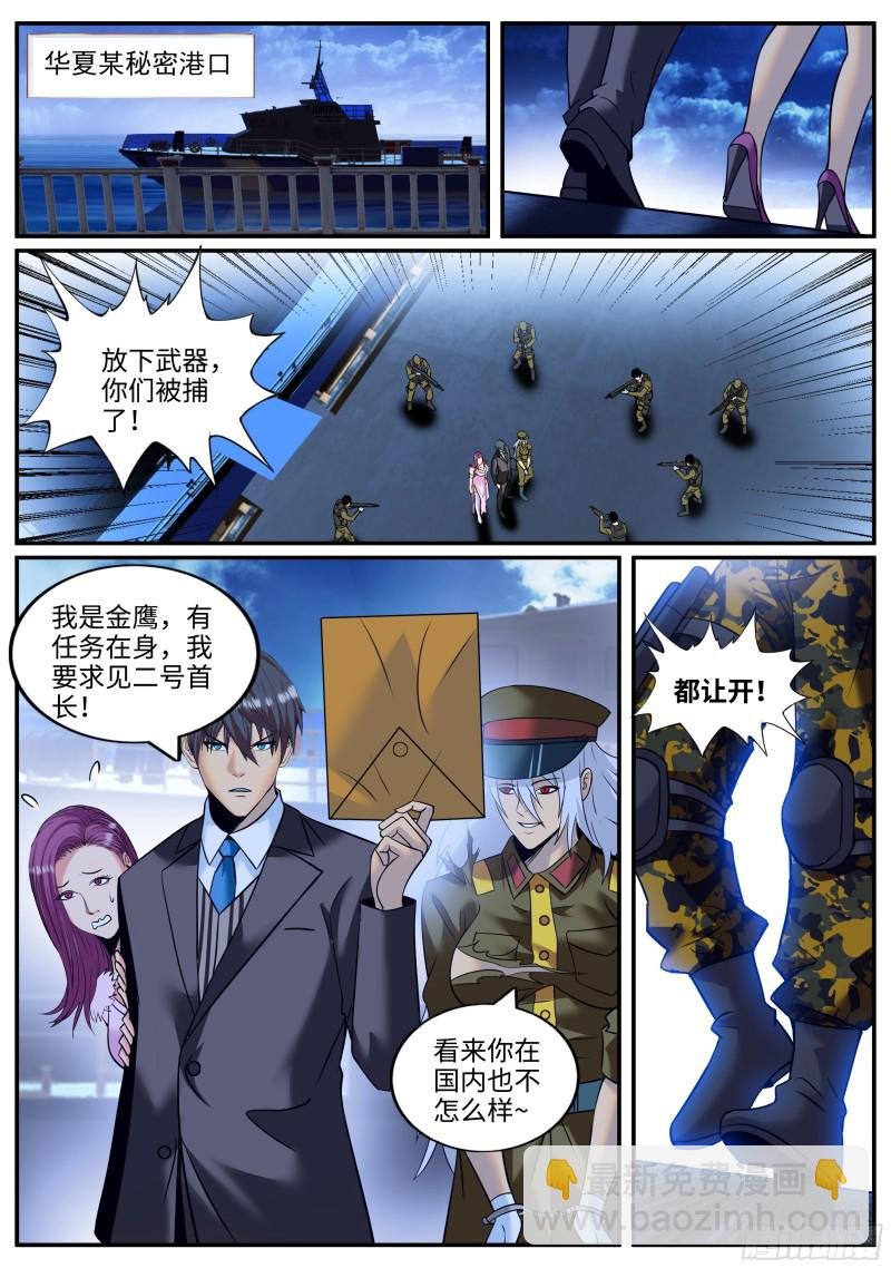 战熊小队