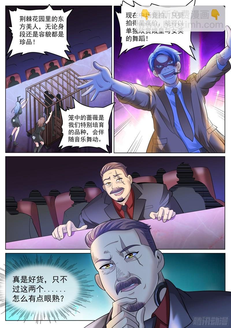 第二季 压轴拍品！