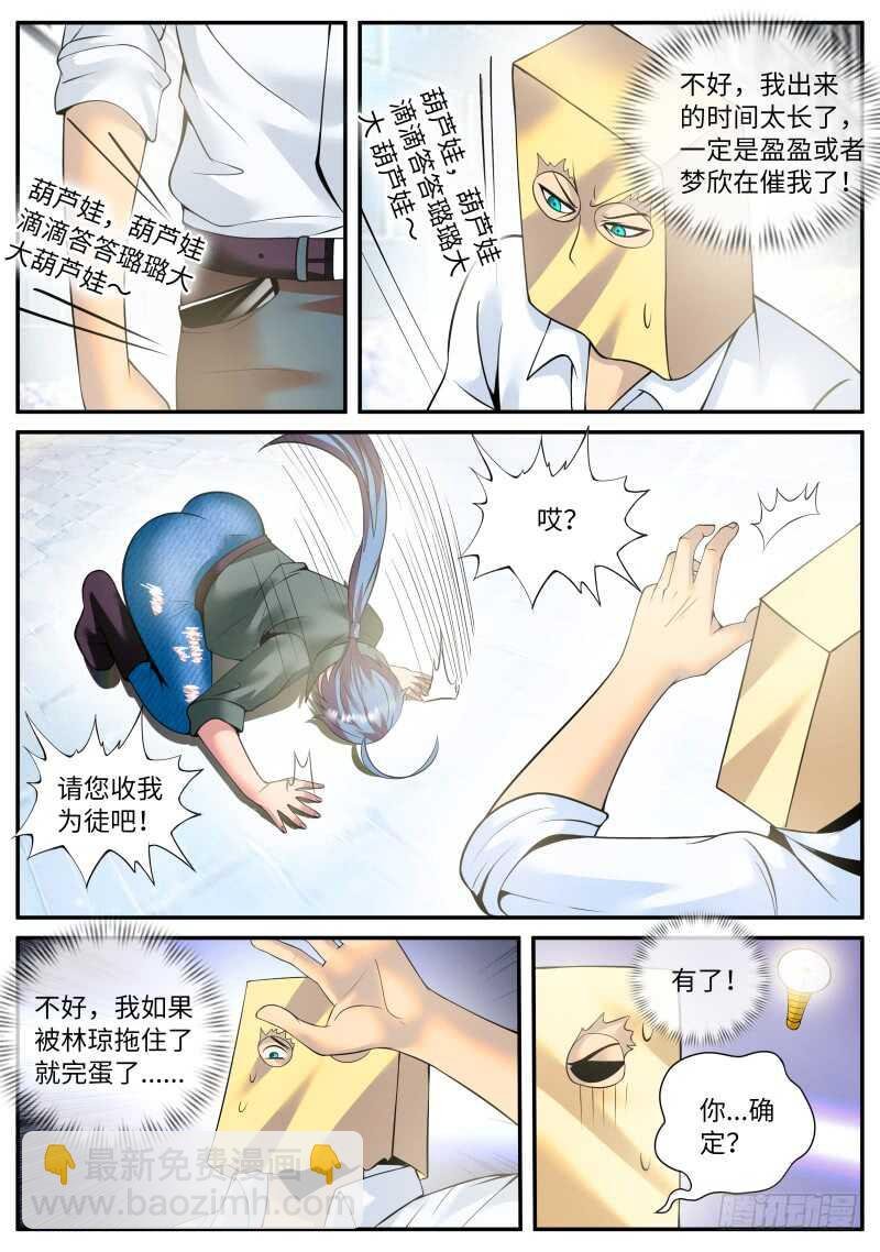 金鹰之风
