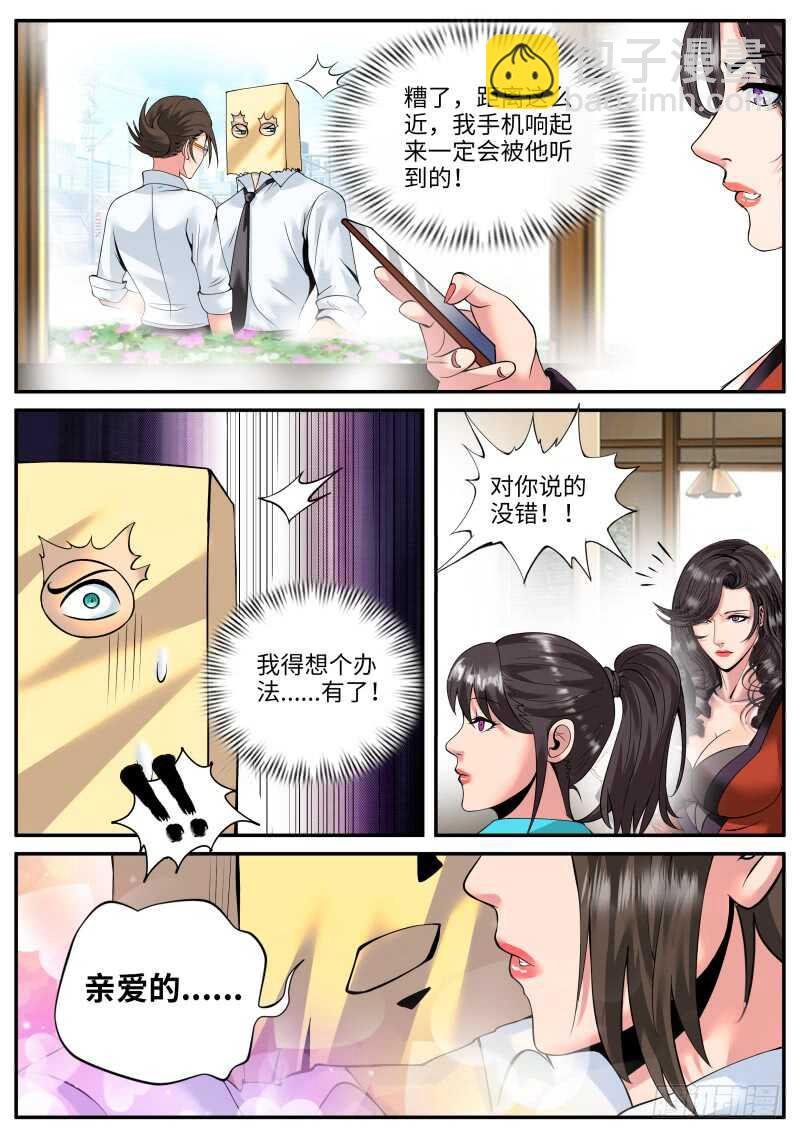 金鹰之风