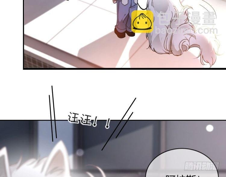 第251话（加更） 狗狗受伤