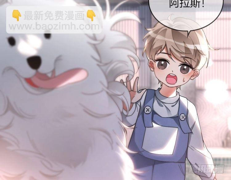 第251话（加更） 狗狗受伤