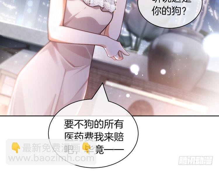 第251话（加更） 狗狗受伤