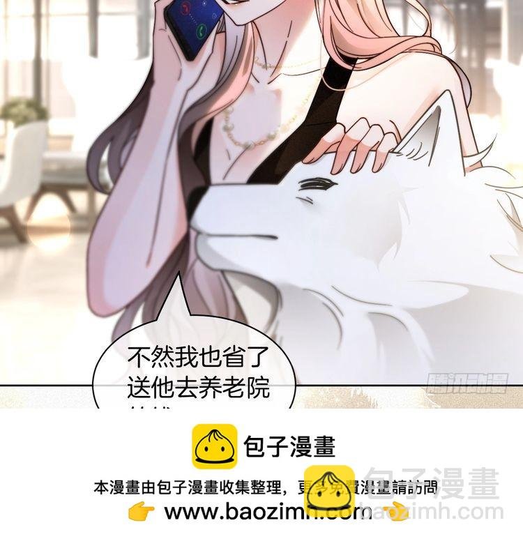 第251话（加更） 狗狗受伤