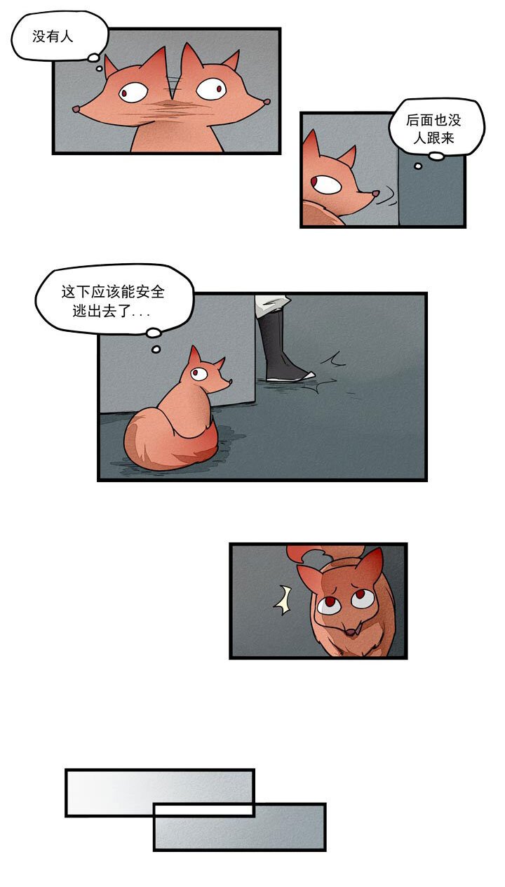 第37话 老大登场