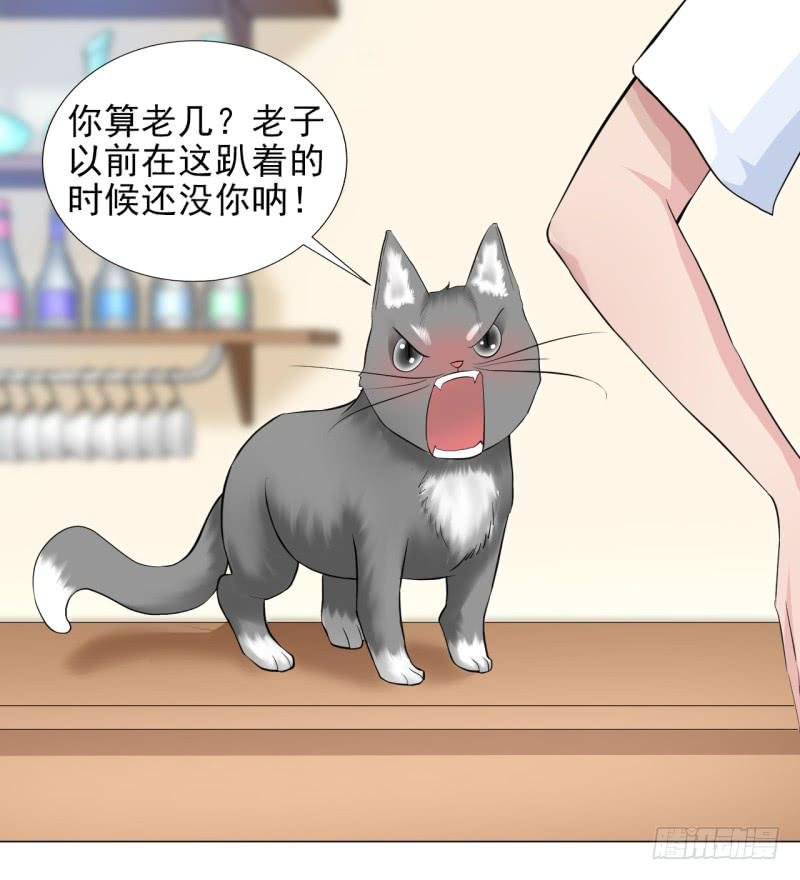 第13话 什嘛！卖店！！