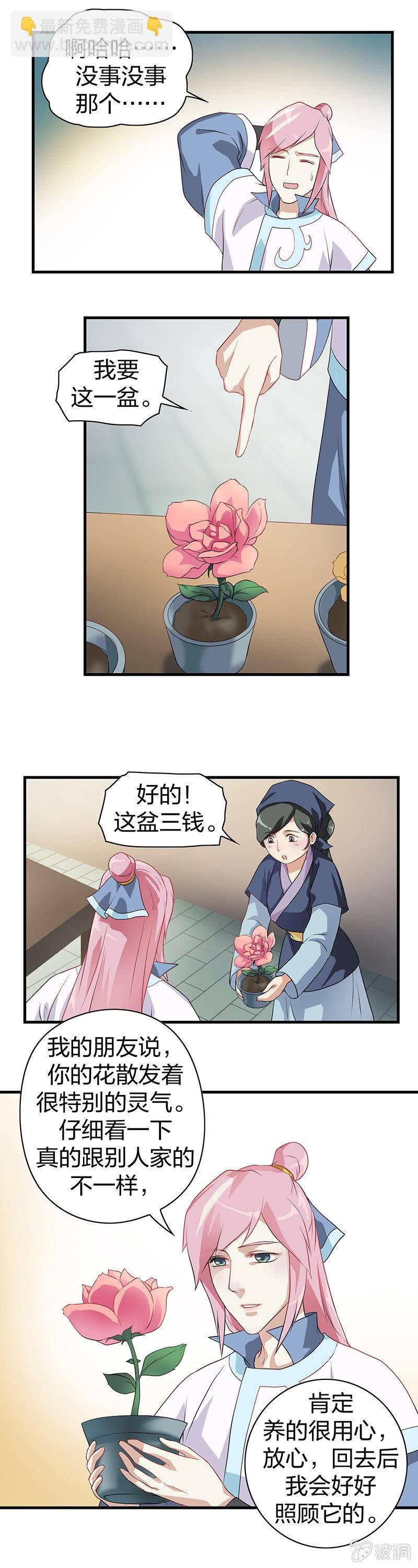 镜里观花·一
