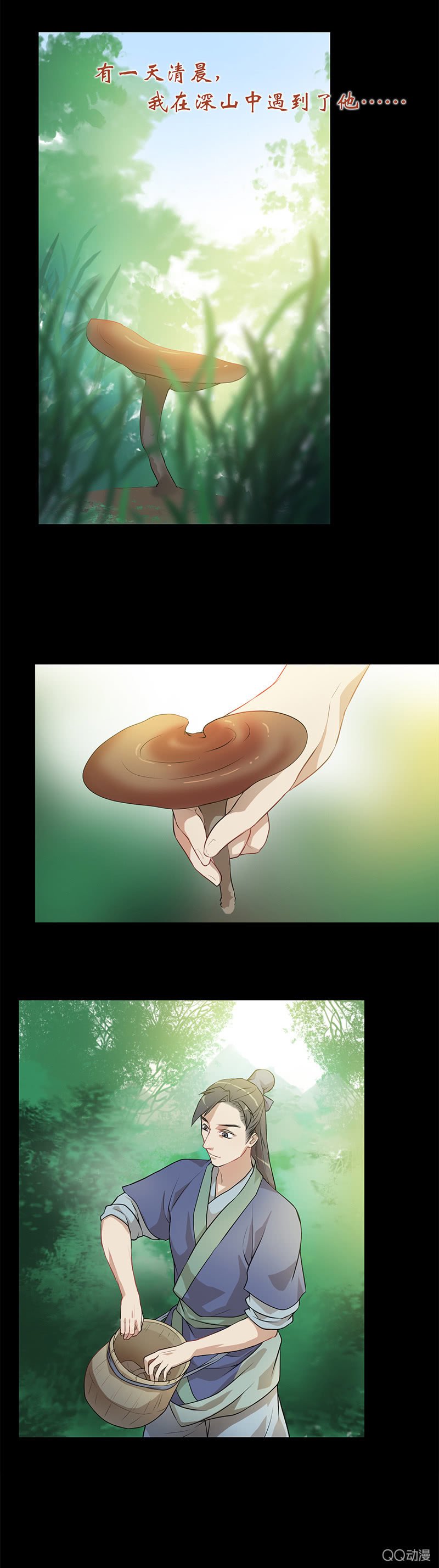孤鸾照镜·四