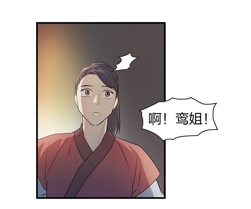 孤鸾照镜·十