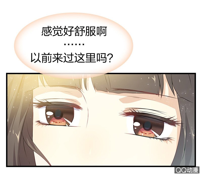 孤鸾照镜·十一