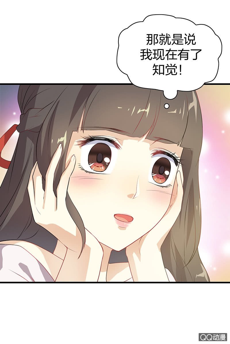 孤鸾照镜·十一