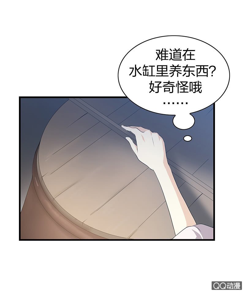 孤鸾照镜·十二