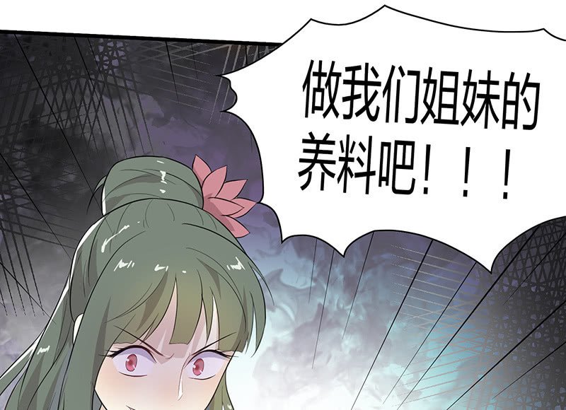 登木求鱼·十五