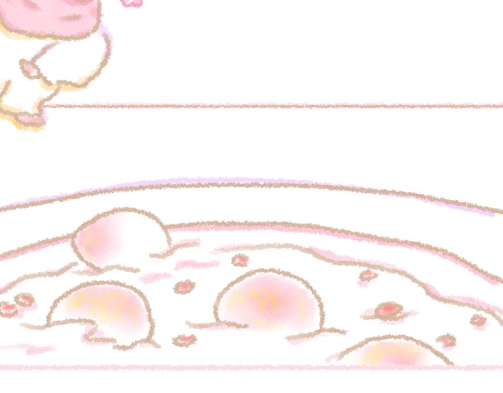 第4话 冬至暖呼呼鸭鸭味汤圆