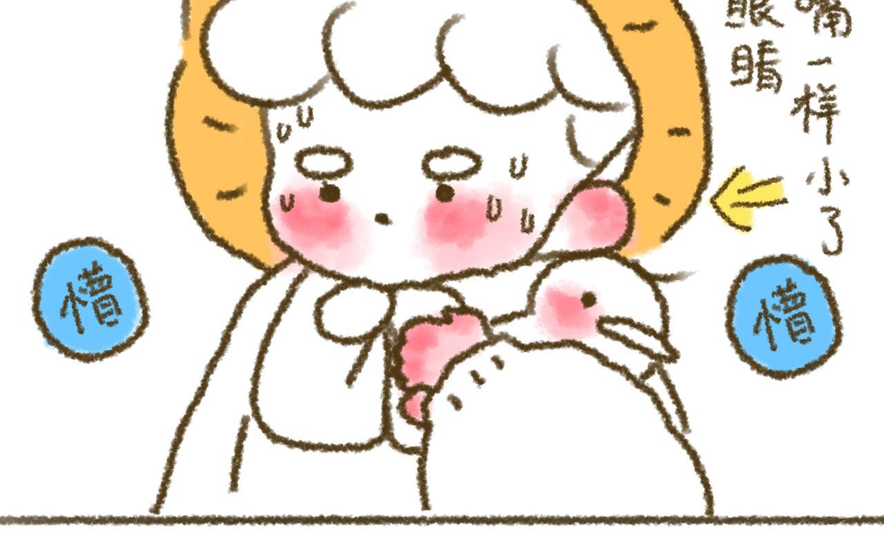第1话 大宝设计师初体验