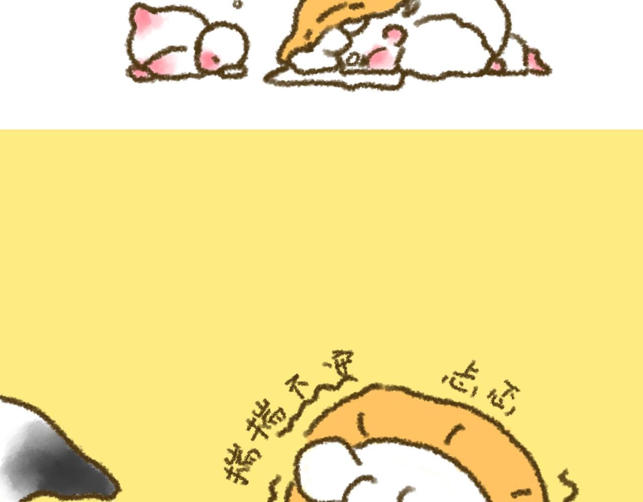 第1话 大宝设计师初体验