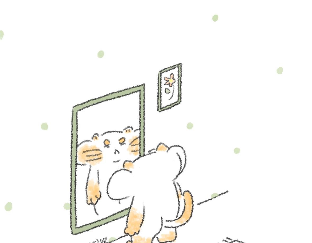 不想看镜子却看了一天的日常