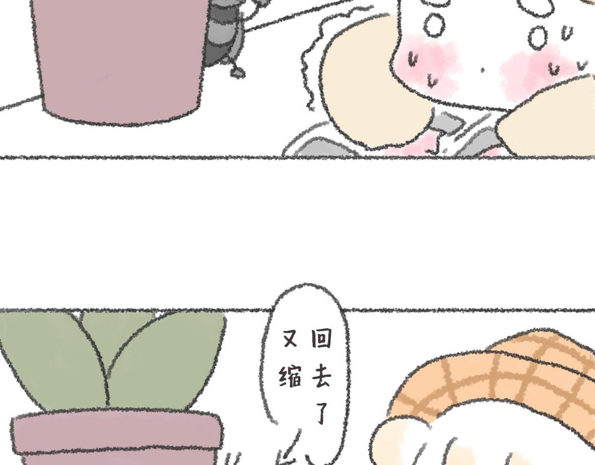 不想看镜子却看了一天的日常