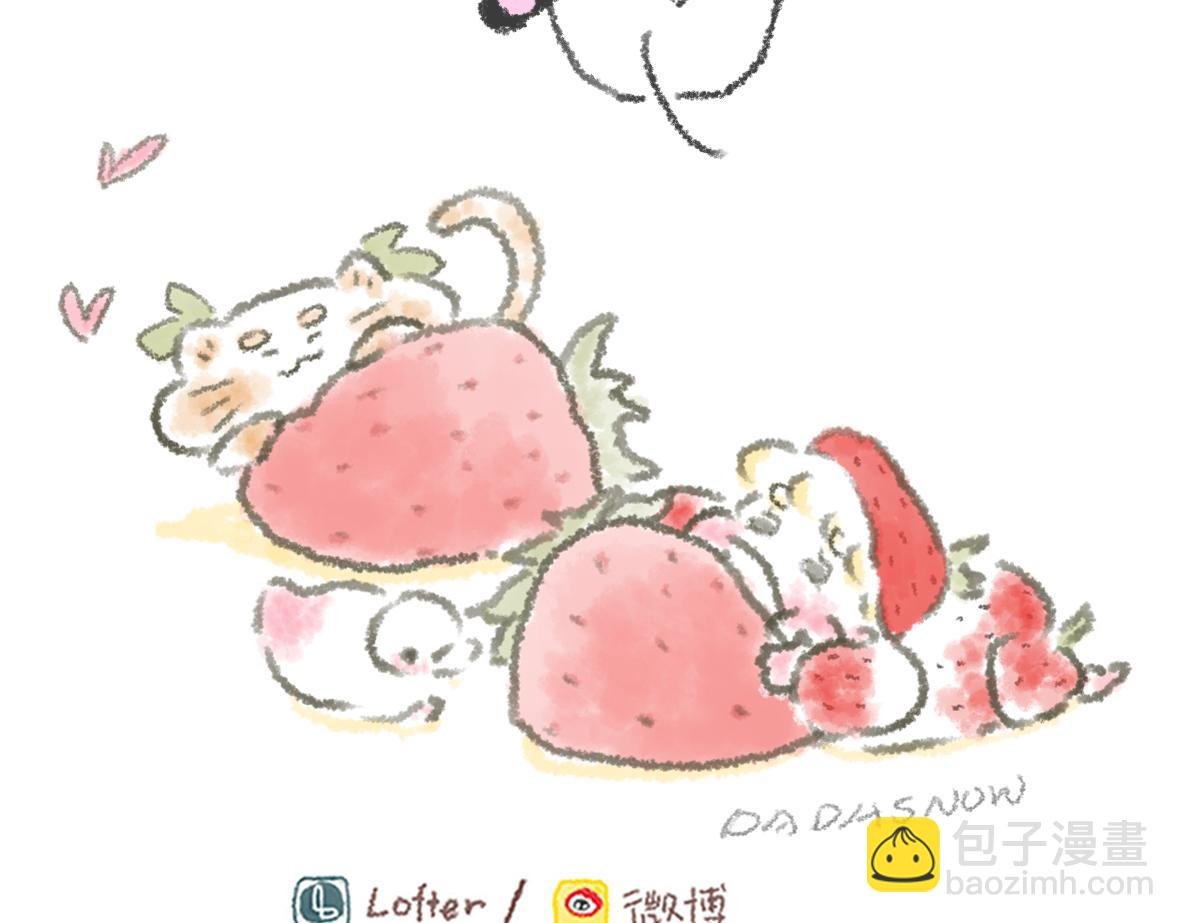 不想看镜子却看了一天的日常