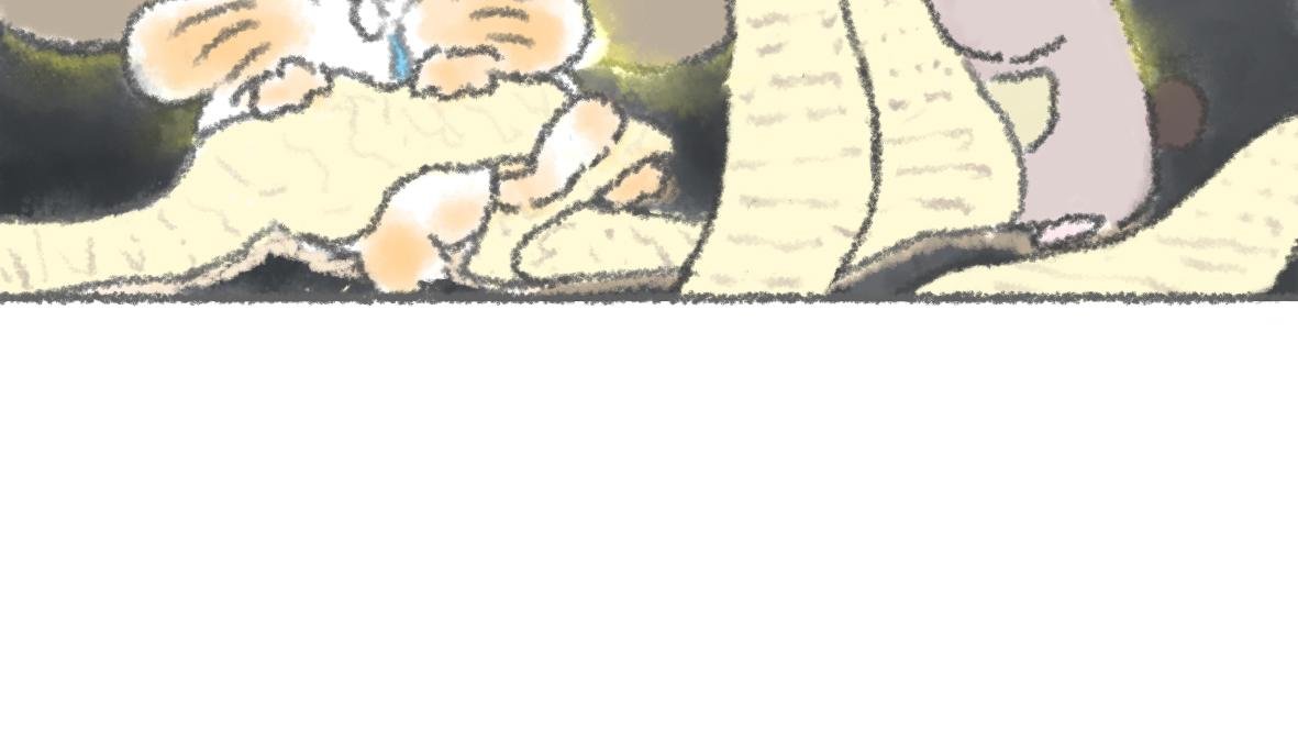 12. 大宝的美食清单