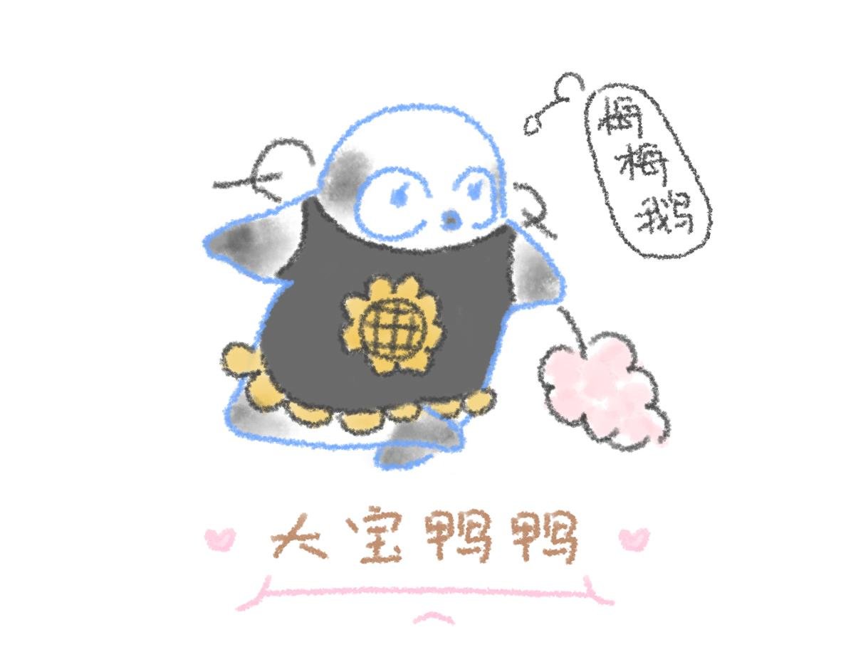12. 大宝的美食清单