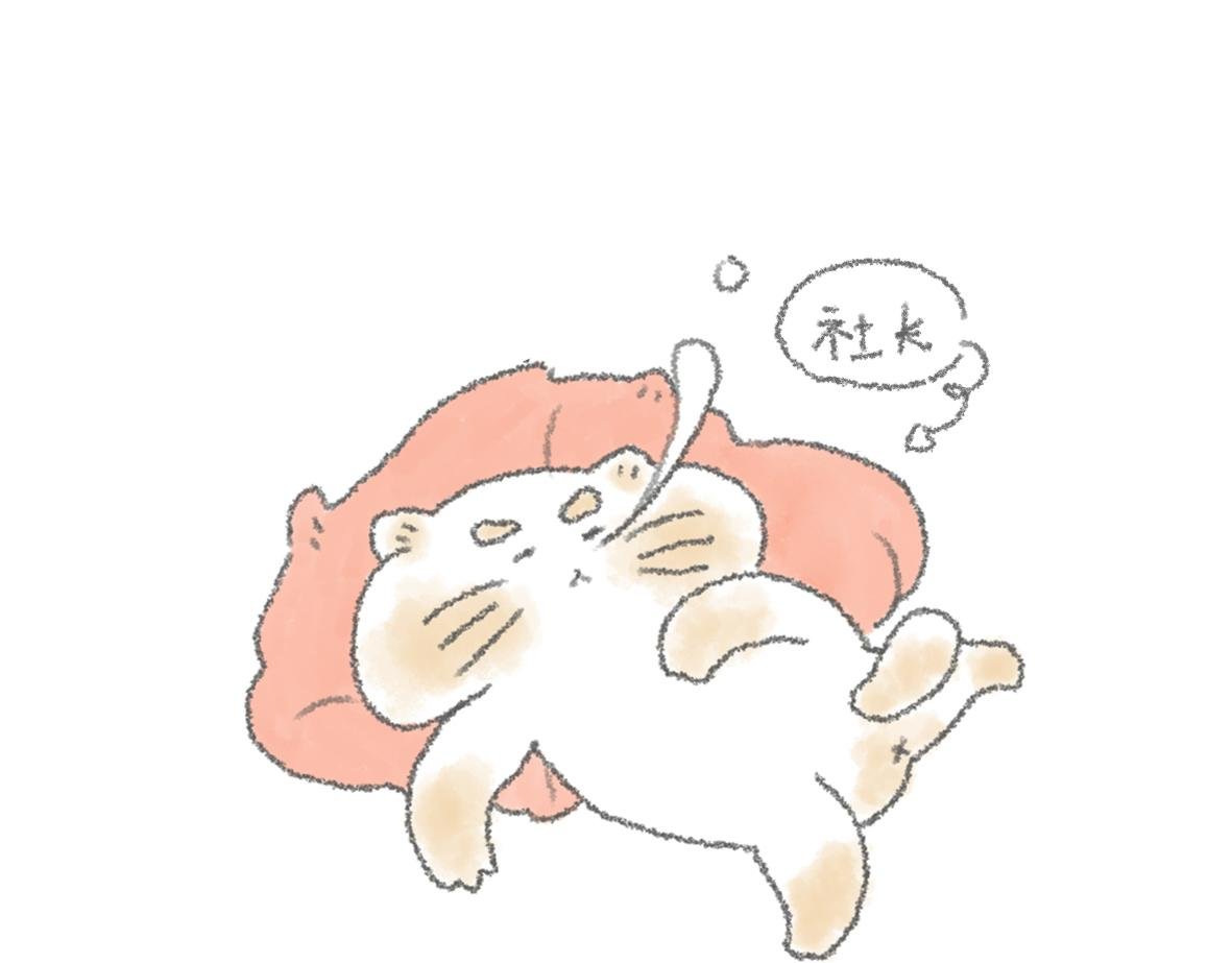 第11话 锅铲上的番茄炒蛋