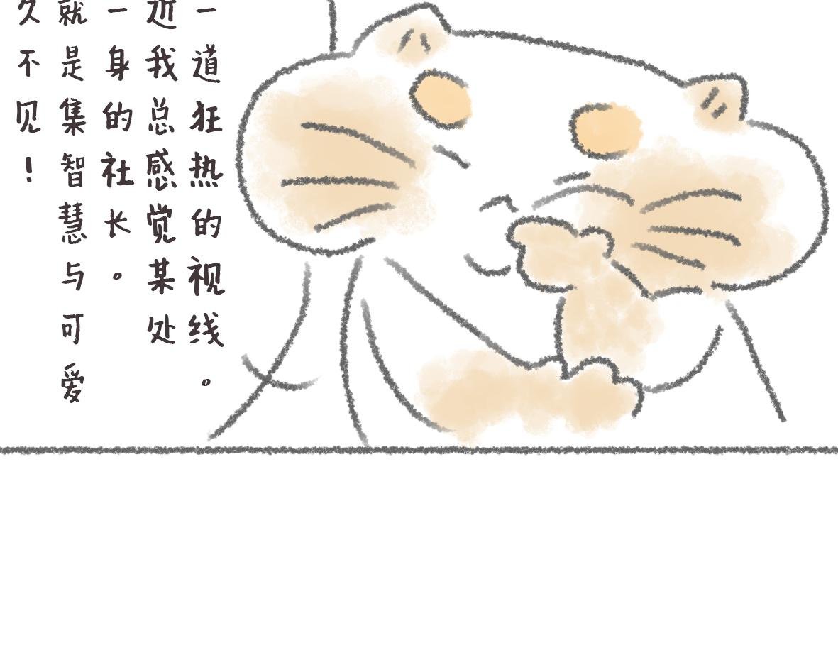 第11话 锅铲上的番茄炒蛋