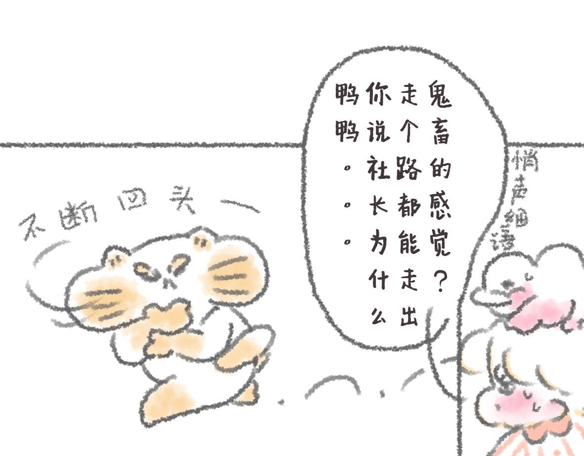第11话 锅铲上的番茄炒蛋