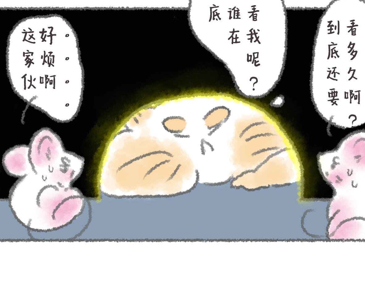 第11话 锅铲上的番茄炒蛋
