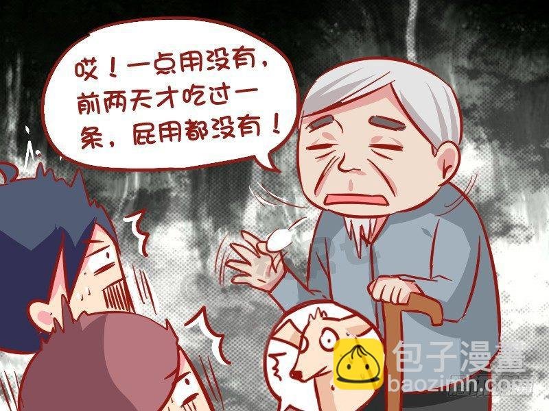 1022-导盲犬