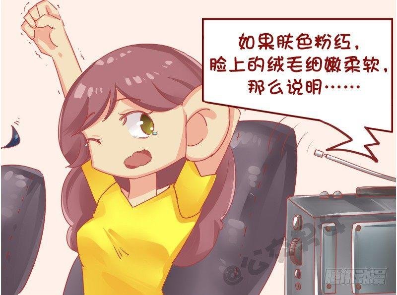 1128-养猪知识讲座
