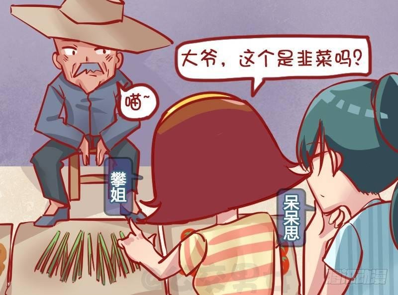 1139-韭菜猫