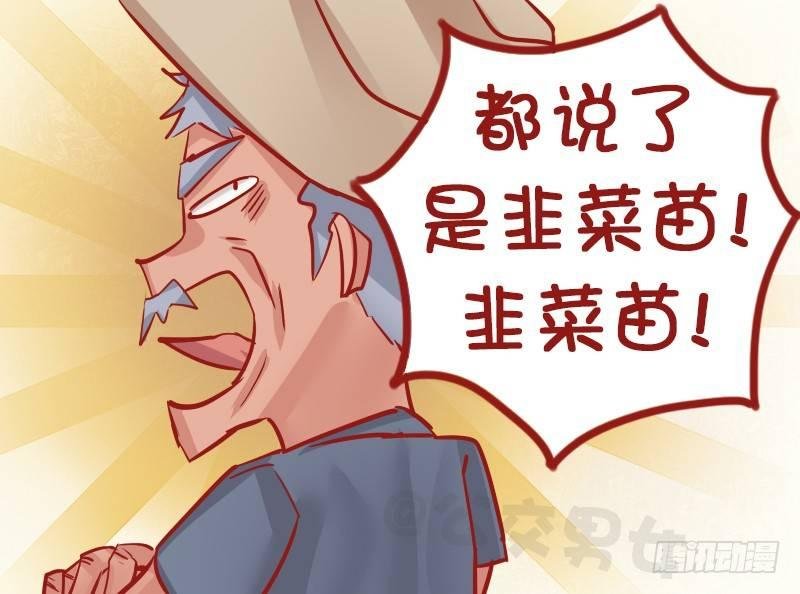 1139-韭菜猫