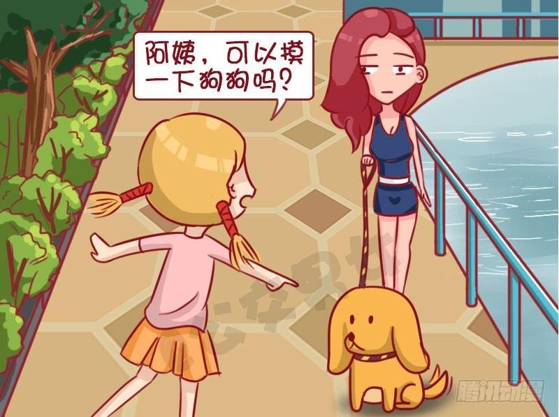 1334-遛狗