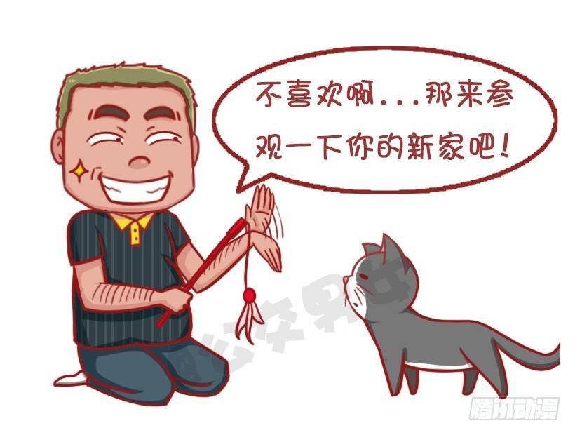 不是说，建国之后动物不能成精吗？